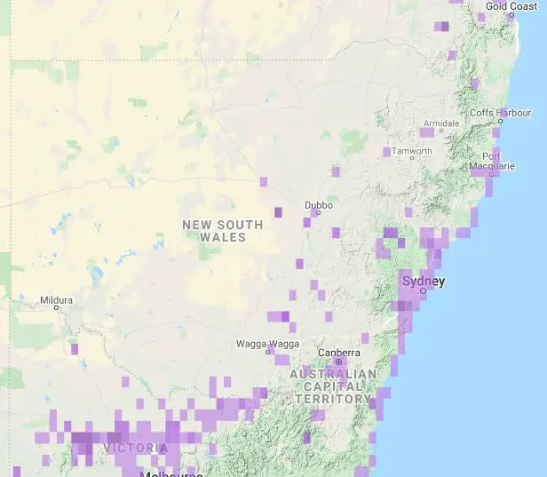 a map of New South Wales showing where Swift Parrots can be found