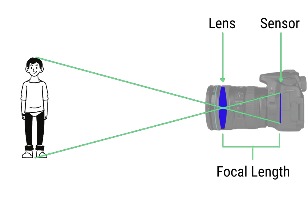 a diagram of a person standing in front of a dslr camera with crossed green lines showing how the light enters the camera. The lens and sensor of the camera are also labelled