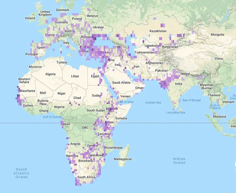 a map of Africa and Europe showing the distribution of the great white pelican