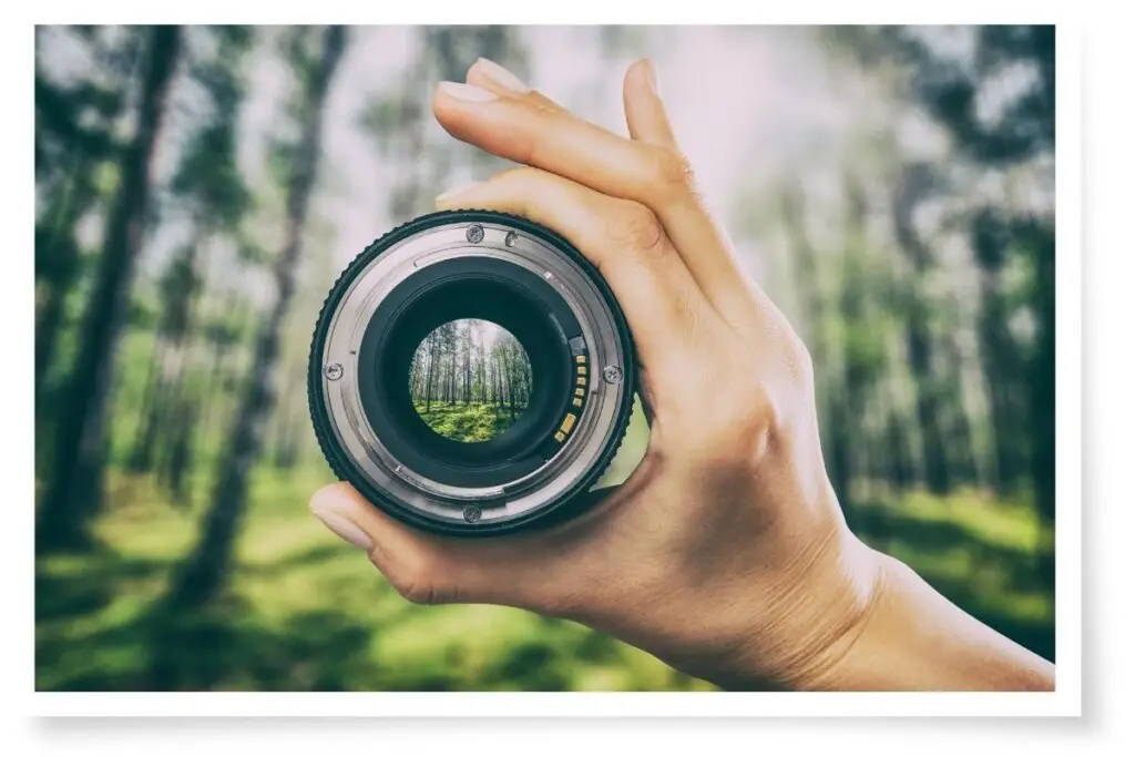 a female hand holding a camera lens up in front of a forest