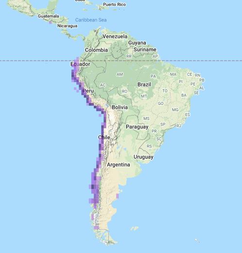 a map of South America showing the distribution of the Peruvian Pelican
