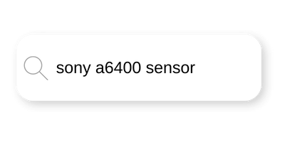 a search box with "sony a6400 sensor" typed into it
