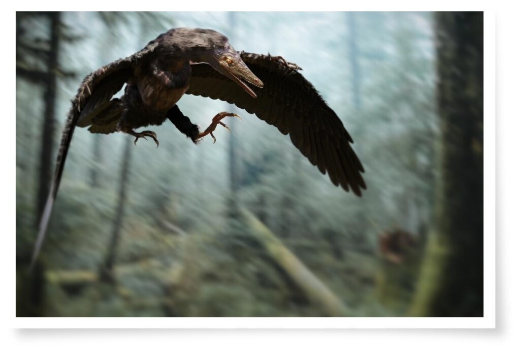 a digital rendering of Archaeopteryx