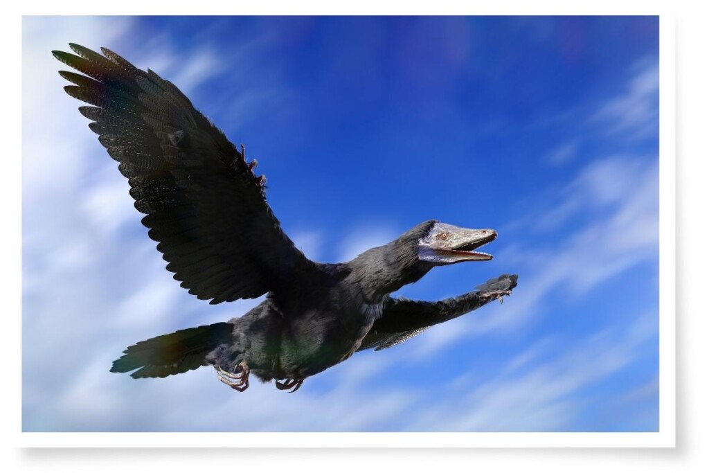 a digital rendering of a flying Archaeopteryx