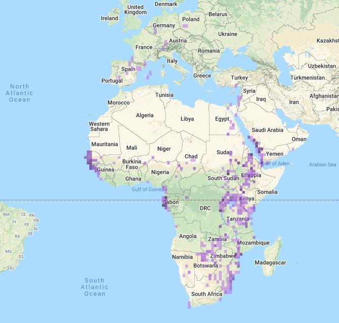 a map of Africa and Europe, showing the distribution of the pink-backed pelican