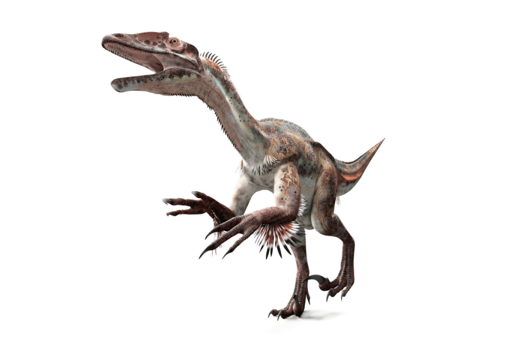 a digital rendering of Utahraptor