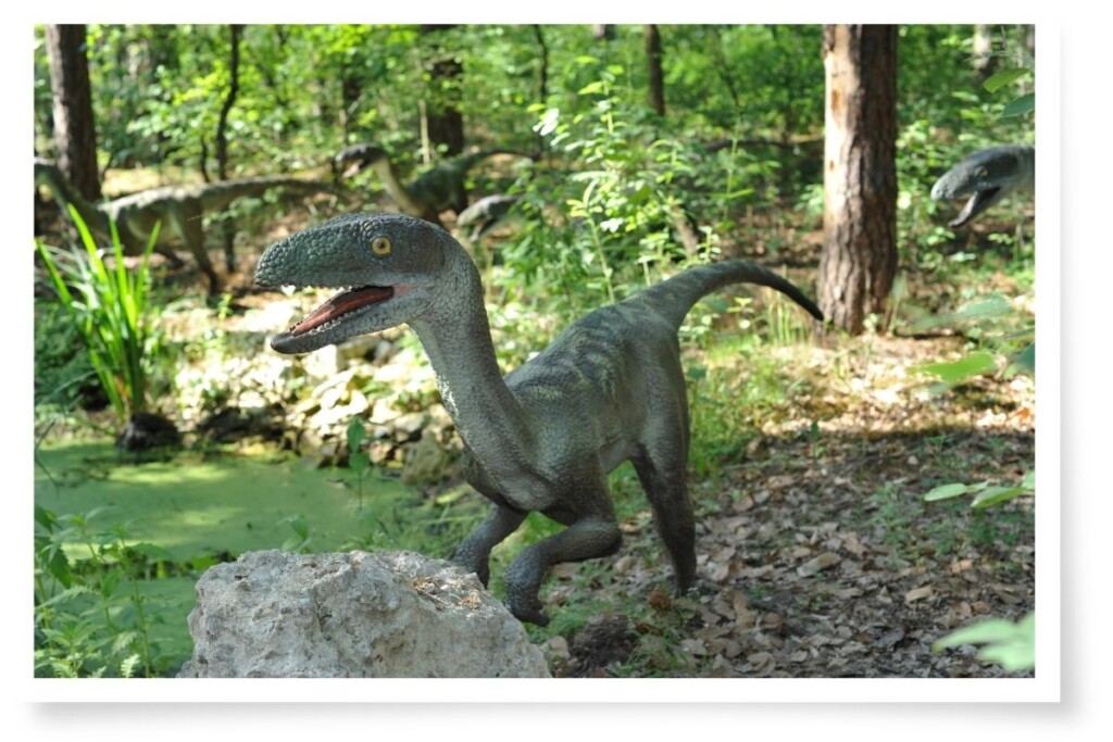 a digital rendering of Velociraptors in a forest