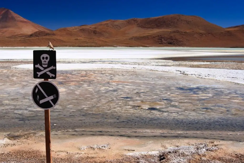 a polluted lake with a bird perched on a poison sign in the foreground