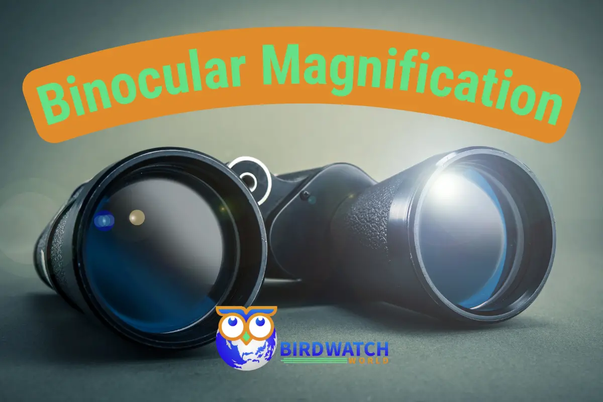 Binocular Magnification Chart For Birders With Easy Explanations