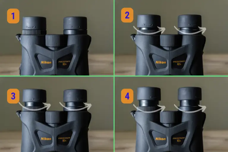 Binocular Magnification Chart For Birders With Easy Explanations