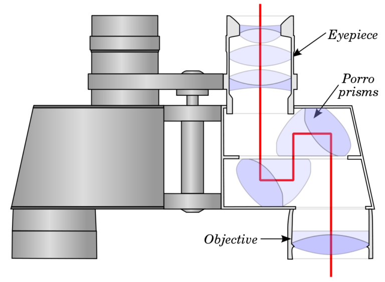 Binocular Magnification Chart For Birders With Easy Explanations