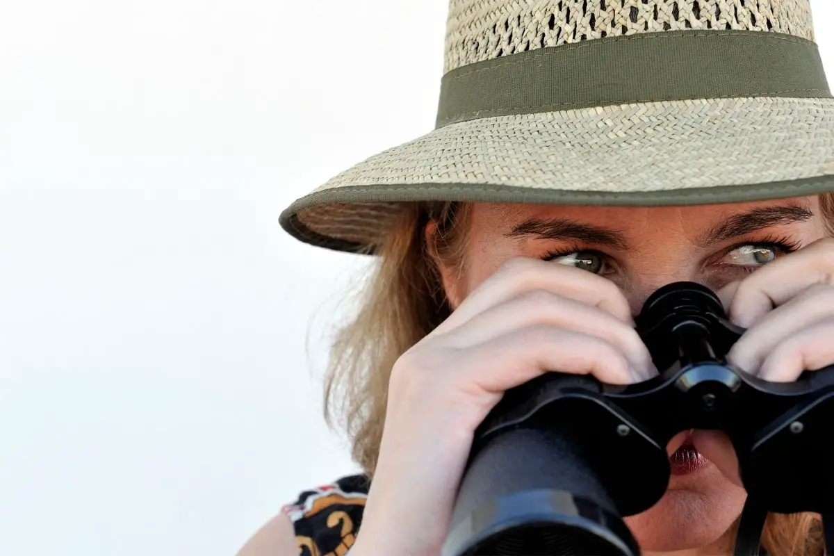 Binocular Magnification Chart For Birders With Easy Explanations