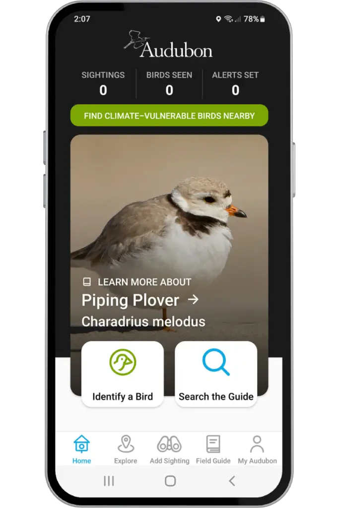 a mobile phone screen showing the Home screen of the Audubon Bird guide app
