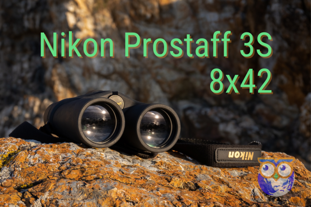 nikon prostaff 3s 8x42 binoculars resting on a rock reflecting the rising sun
