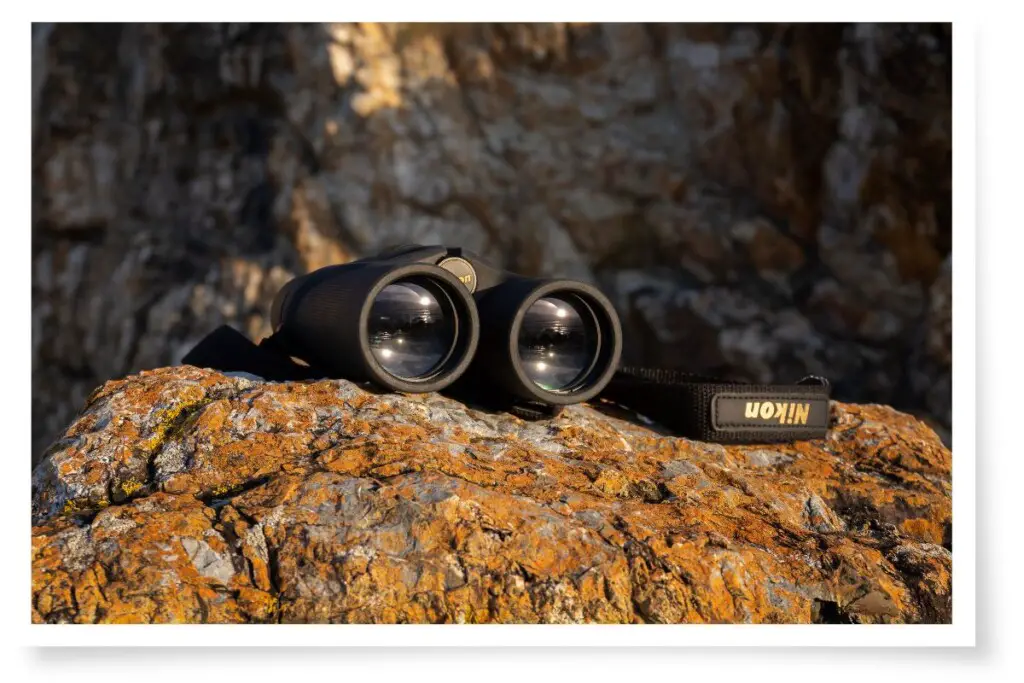 A pair of Nikon Prostaff 3S binoculars resting on a rock with sunrise reflecting in their front lenses