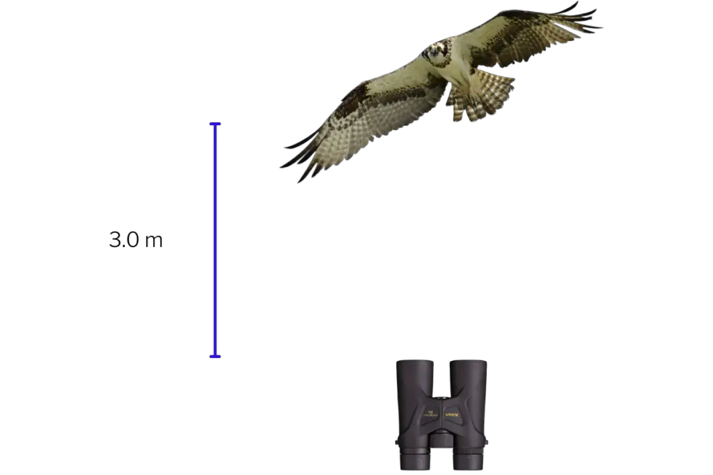 a diagram of a pair of binoculars pointing towards a flying Osprey with a distance of 3 meters indicating minimum focusing distance