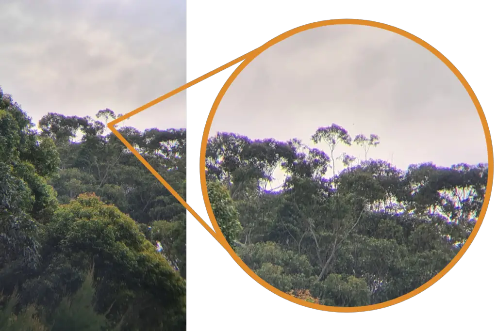 a phone image of gum trees against the sky showing chromatic aberration. a circular inset zooms in on the image