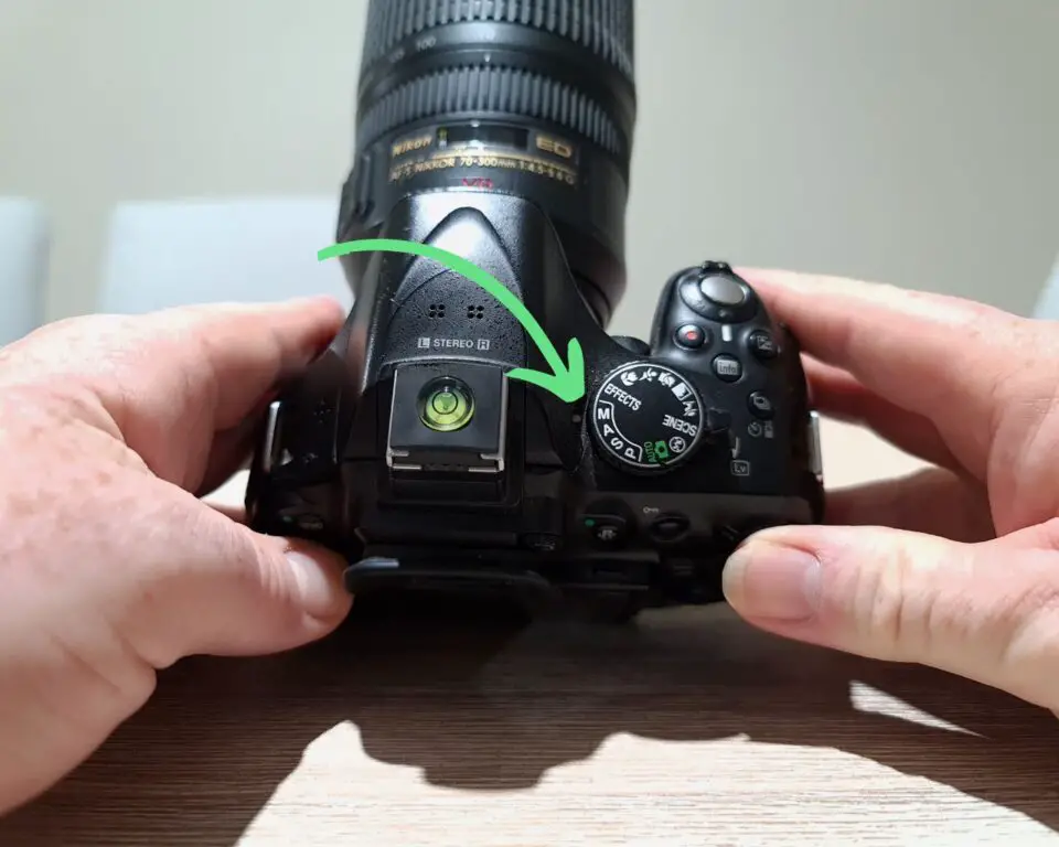 Bird Photography Settings For Nikon DSLR Cameras