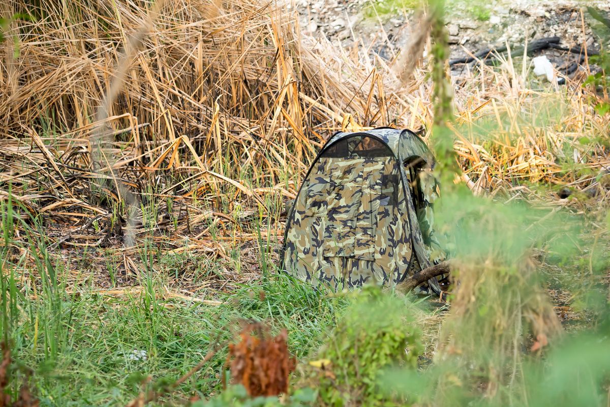 a portable camouflage tent for bird photography set up in a field
