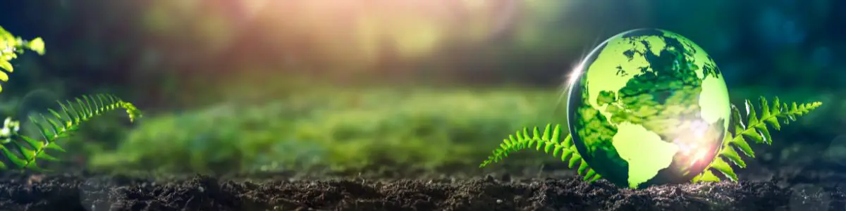 a green glass globe of planet earth sitting in dirt with ferns