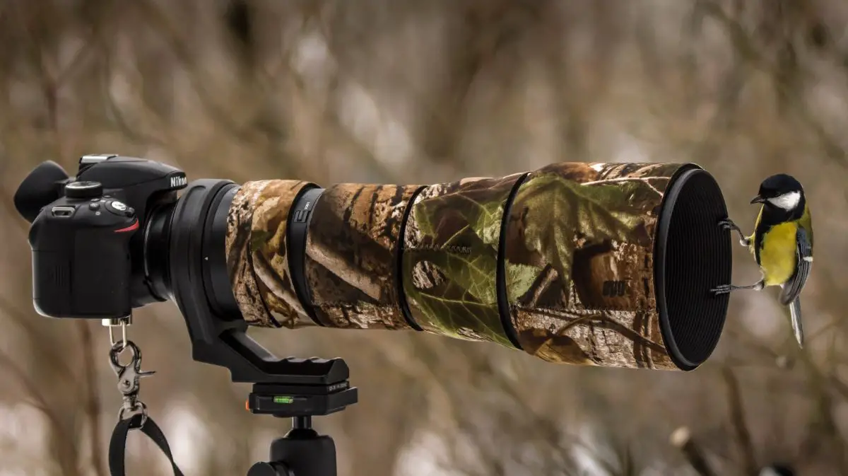 a bird perched on the zoom lens of a camera