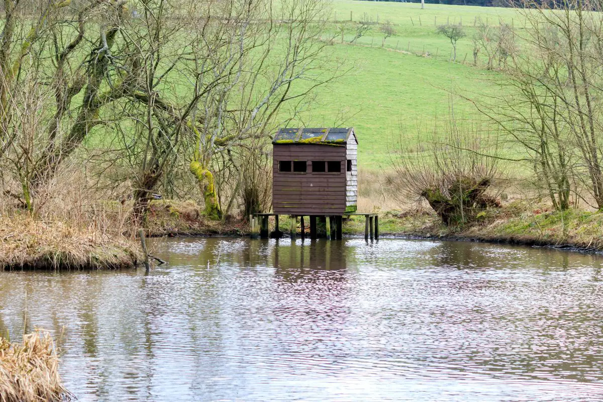 a wooden hut bird blind on the edge of a lake