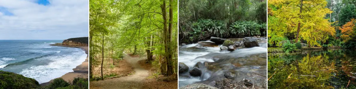 four different landscapes from left to right - a beach, a forest path, a river, and a lake in Autumn