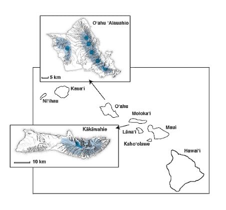 a map of Hawaii with 