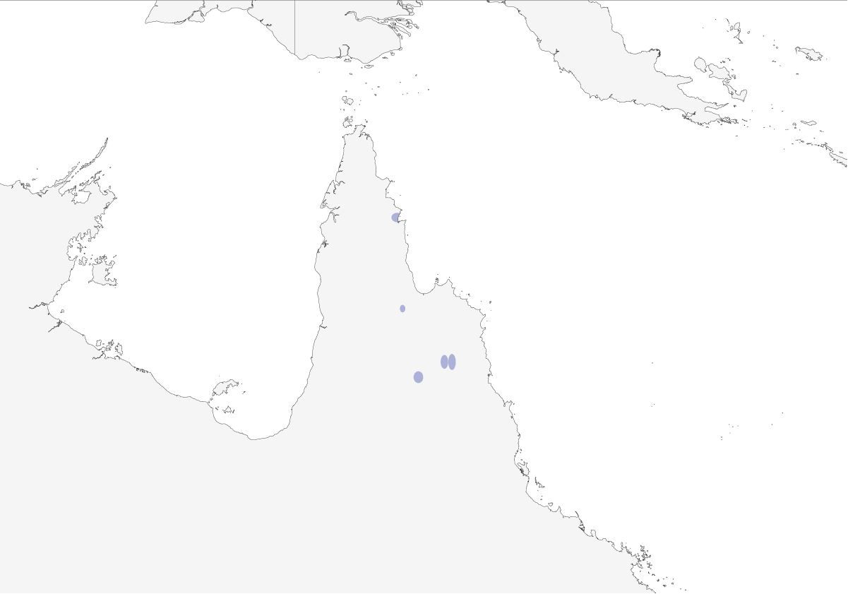 a map of Cape York Peninsula showing the distribution of Buff-breasted Buttonquail birds