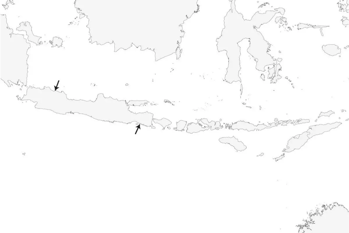 a map of java showing where Javan Lapwing birds would be found