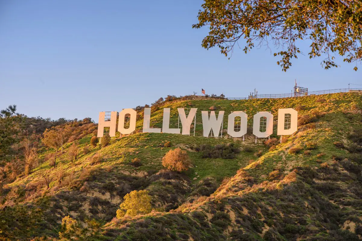 the Hollywood sign