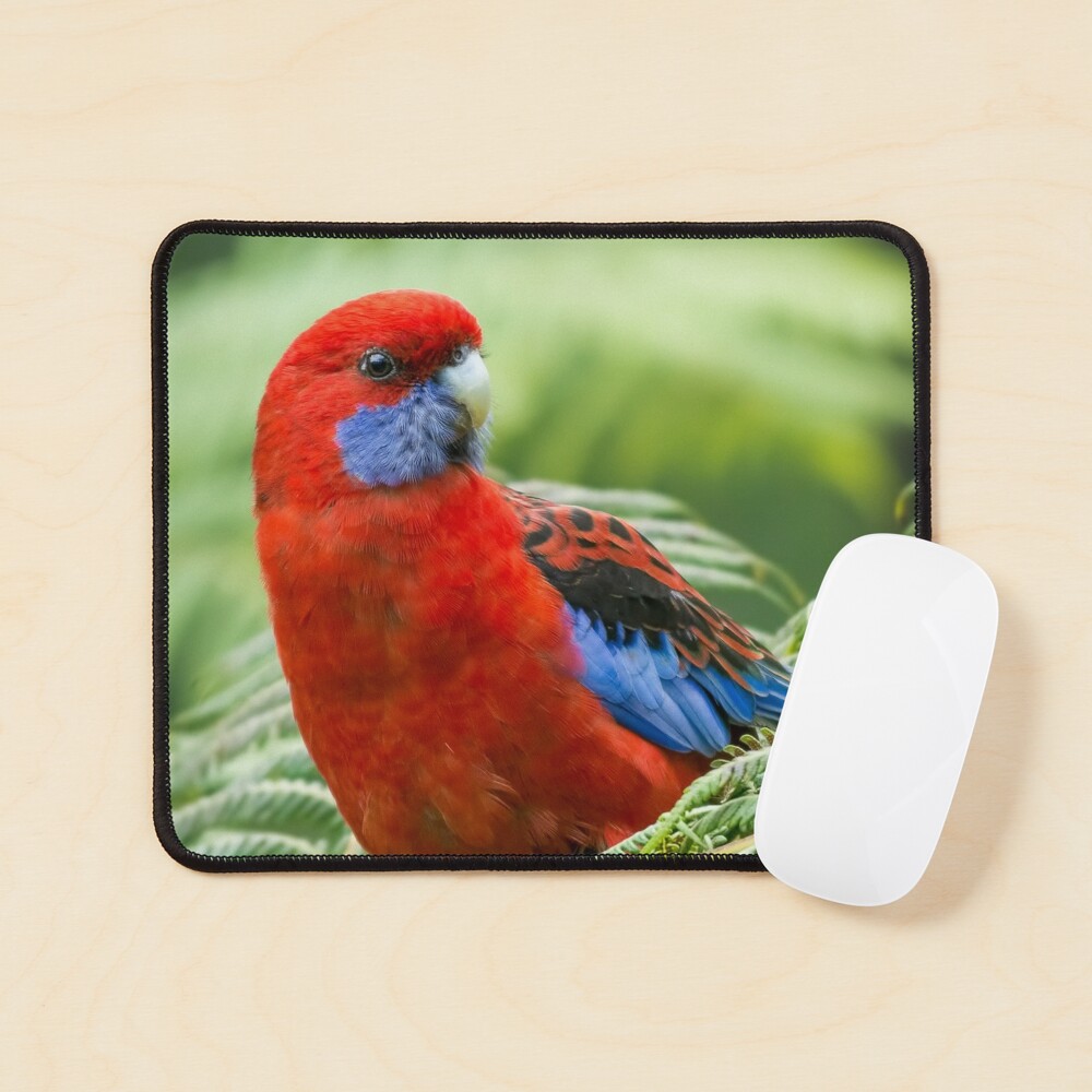 a Crimson Rosella mouse pad with a white mouse resting on it