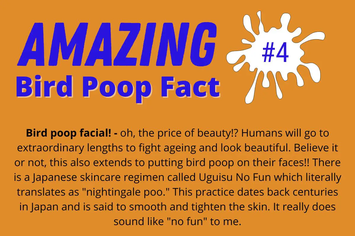 an info-graphic about Iguisu No Fun, the Japanes skincare regimen that involves putting bird poo on your face