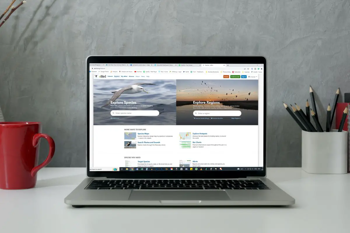 a grey laptop sitting on a desk with a red coffee mug to the left and a container with pencils on the right. the laptop screen shows the Explore page of the eBird website