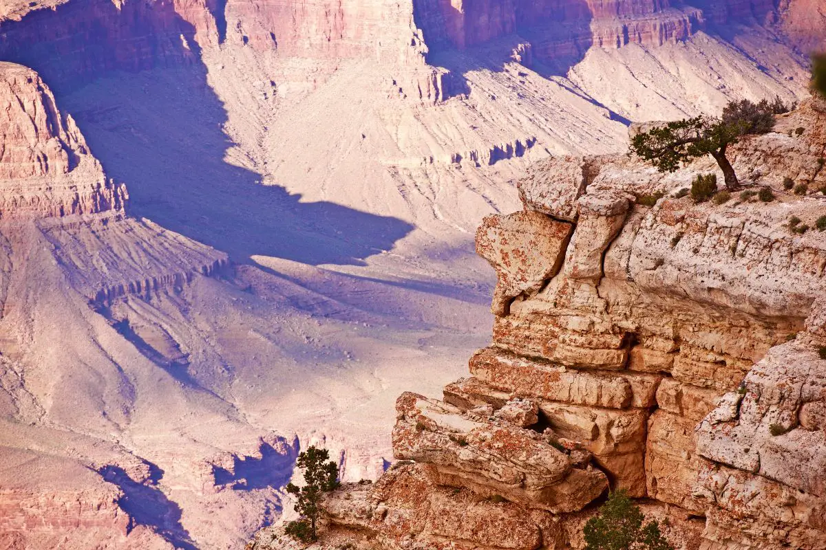 a view of the south rim of the Grand Canyon where Ravens have fun in the wind