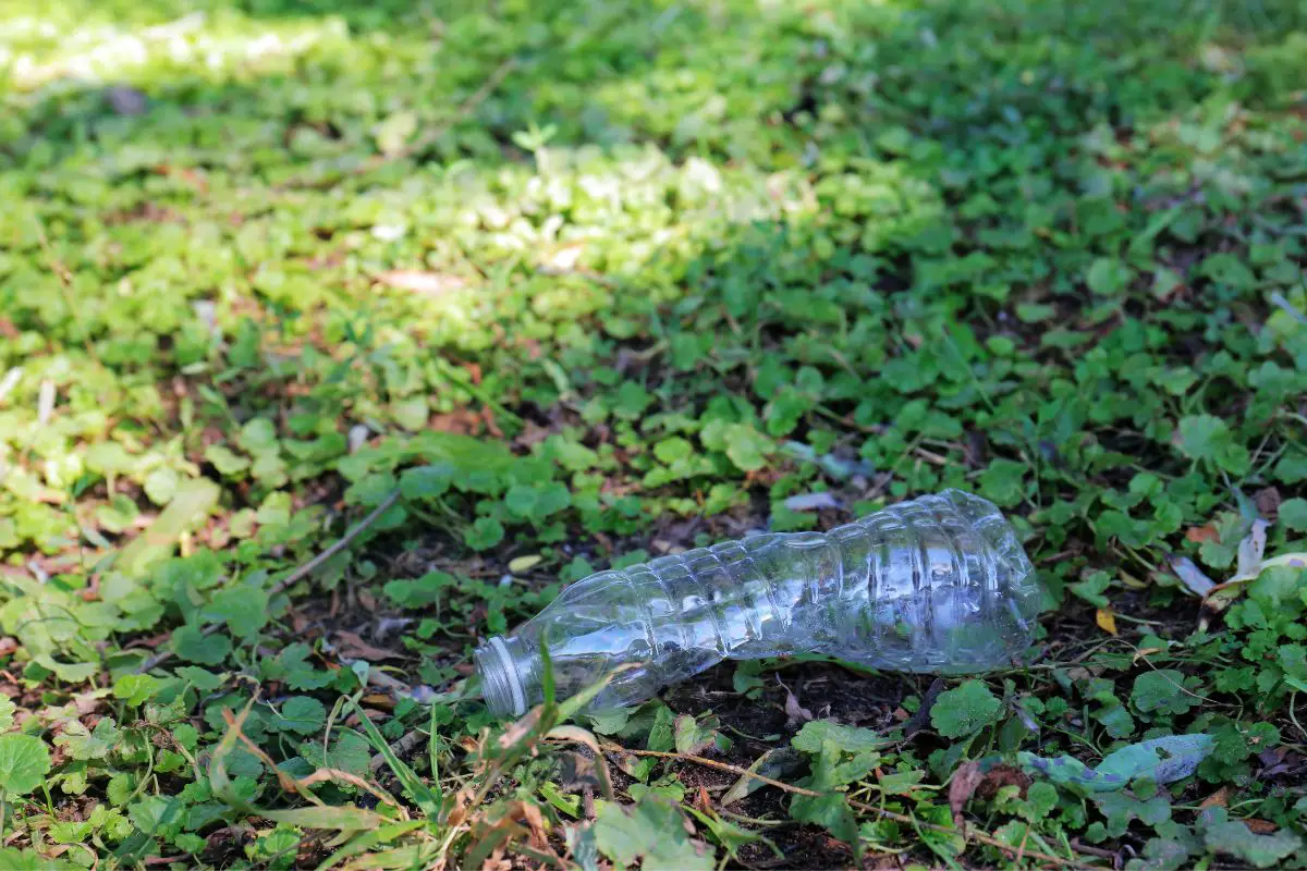 an empty, crushed plastic water bottle lying on the ground