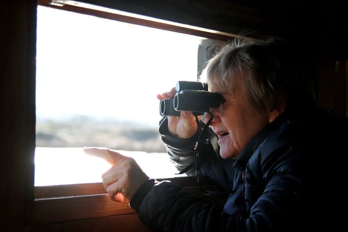 an elderly woman bird watching in a hide with binoculars