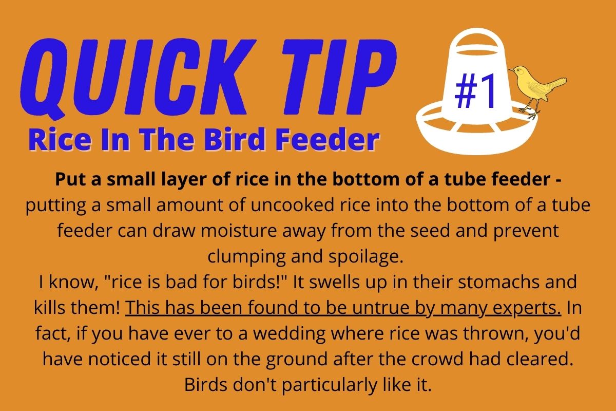 an info-graphic about putting rice into the bottom of a tube bird feeder to keep moisture away from seed