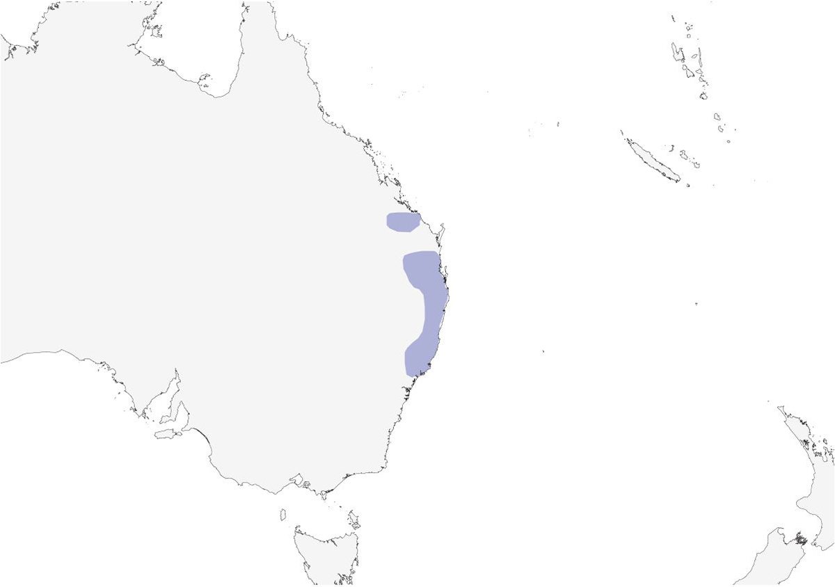 a map of the east coast of Australia showing the distribution of the Paradise Riflebird
