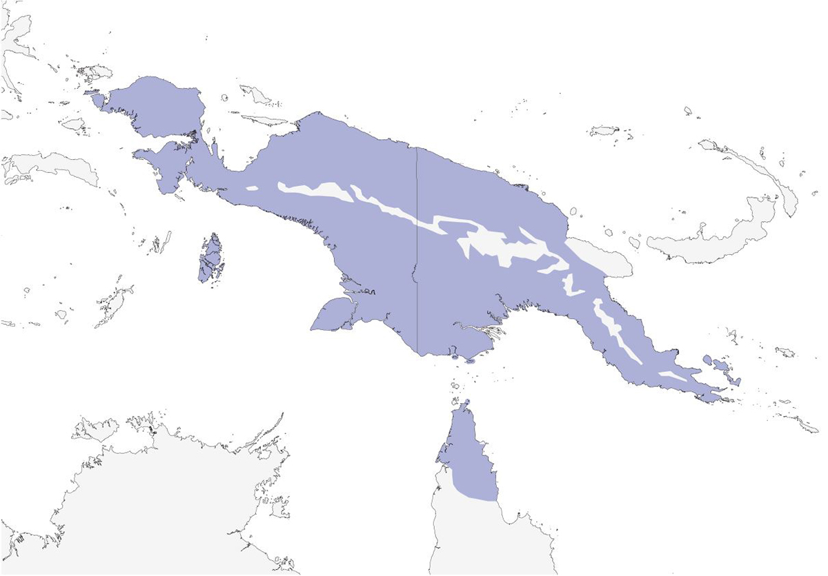 a map of Papua New Guinea and the top of Australia showing the distribution of Trumpet Manucode birds of paradise