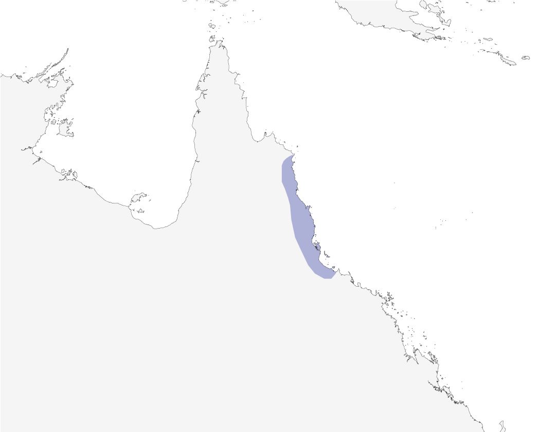 a map of northern Queensland showing the distribution of the Victoria's Riflebird