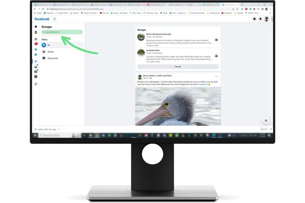 a computer monitor showing a Facebook profile and the Groups page with "birds Melbourne" typed into the search box