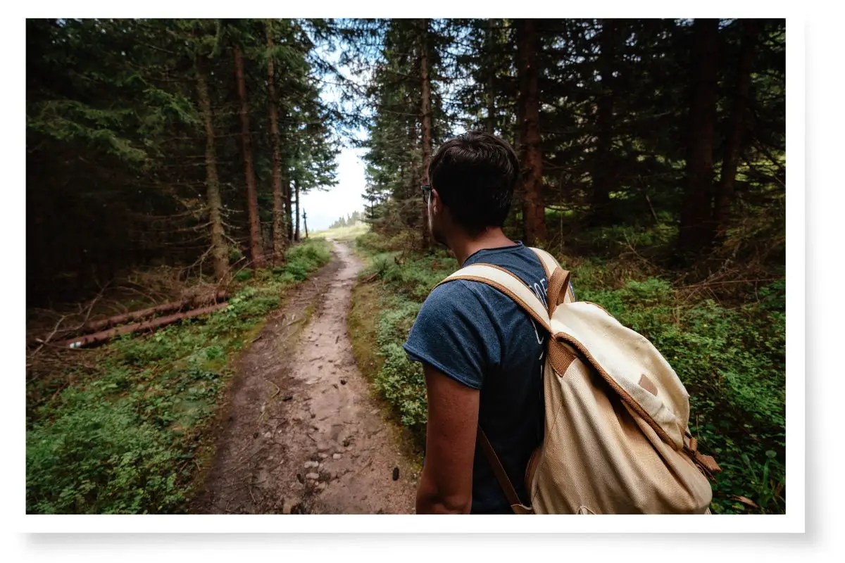 a man with a backpack standing on a trail in a forest