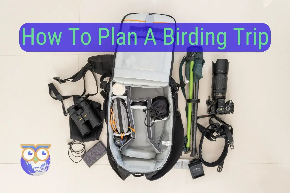 How To Plan A Birding Trip The Right Way – Free checklist
