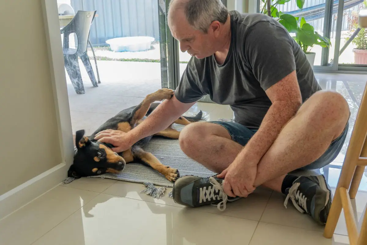 a man patting a dog that is lying on a tile floor
