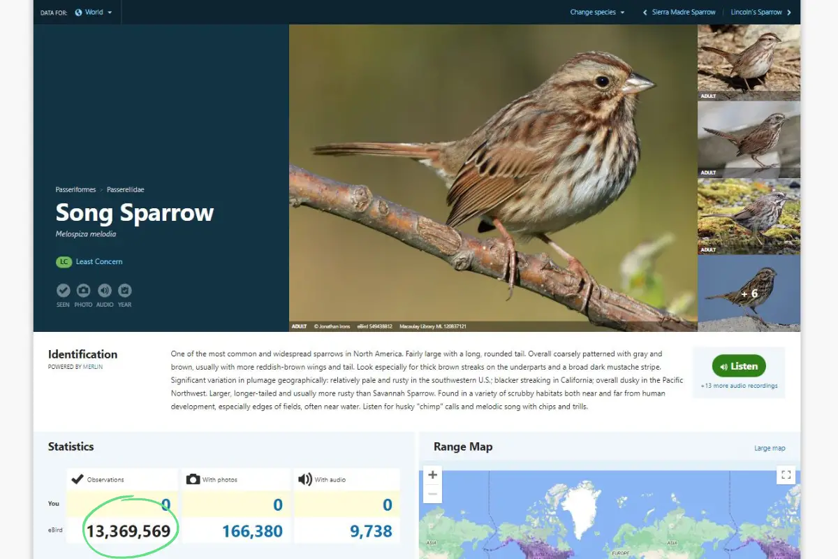 a screen shot from the eBird website showing sightings for the Song Sparrow