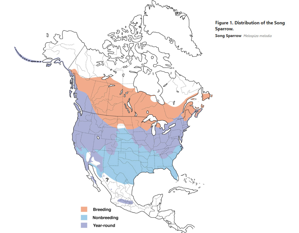 a map of North America showing the distribution of the most common small bird in the U.S. the Song Sparrow